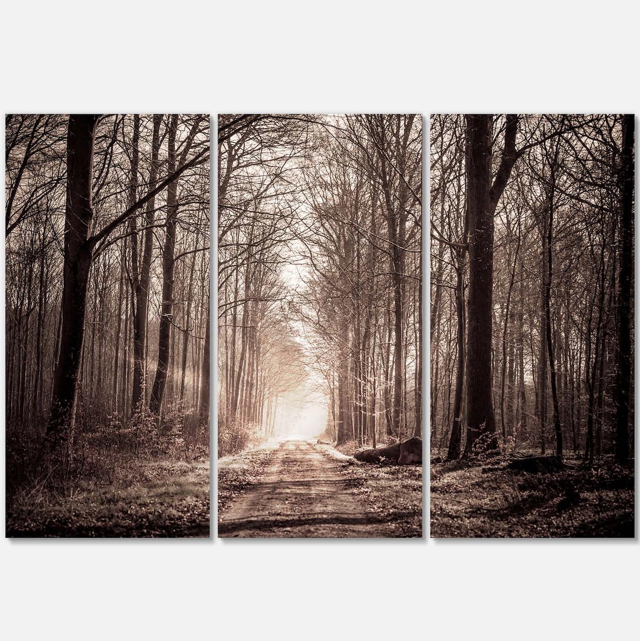 Designart - Forest Trail in Sepia - Landscape Photography Canvas Art Print